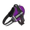 "Harnais polyvalent 'Service Dog' disponible en violet