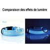 Collier Lumineux LED pour Chiens & Chats